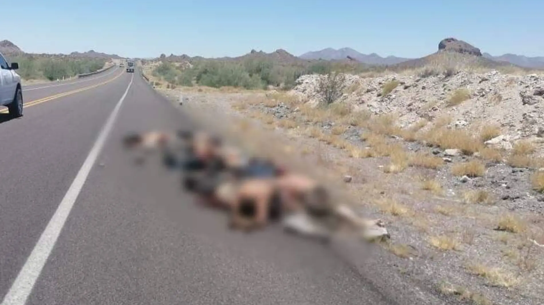 Cuerpos muertos carretera Caborca